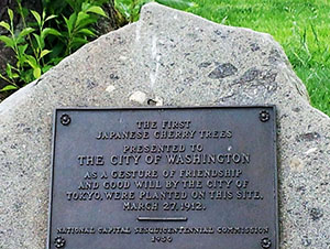 Photo of the Marker honoring the gift of cherry trees from Japan to the USA